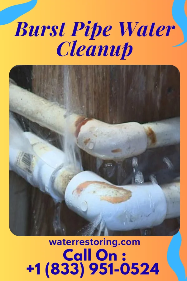 Burst Pipe Water Cleanup in Marshfield, WI