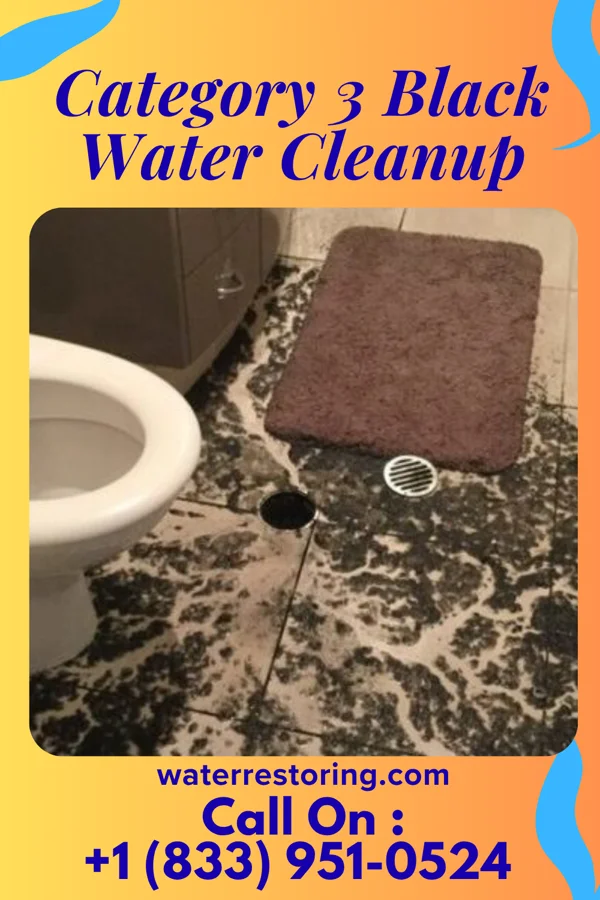 Category 3 Black Water Cleanup in Marshfield, WI