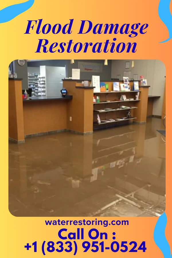 Flood Damage Restoration in Marshfield, WI