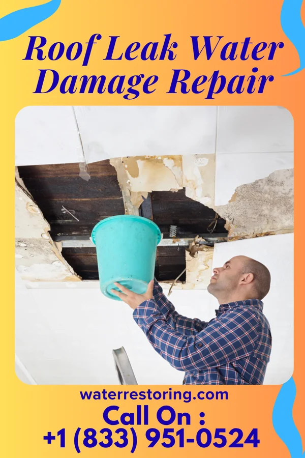 Roof Leak Water Damage Repair in Marshfield, WI