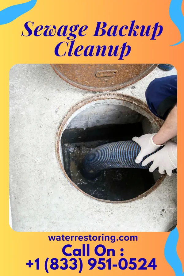 Sewage Backup Cleanup in Marshfield, WI