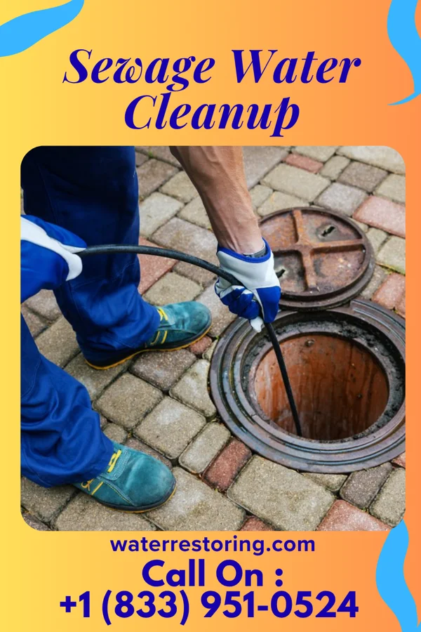 Sewage Water Cleanup in Marshfield, WI