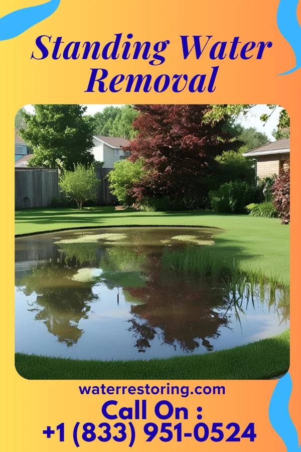 Standing Water Removal in Marshfield, WI